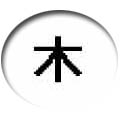 Chinese.jpg (6566 bytes)