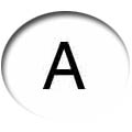 latin.jpg (6242 bytes)